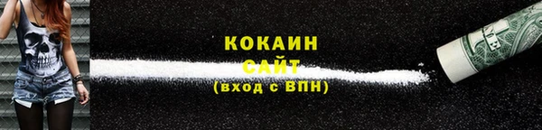 ПСИЛОЦИБИНОВЫЕ ГРИБЫ Няндома
