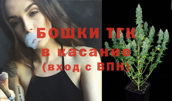 тгк Абаза