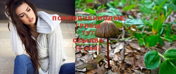 экстази Алексеевка
