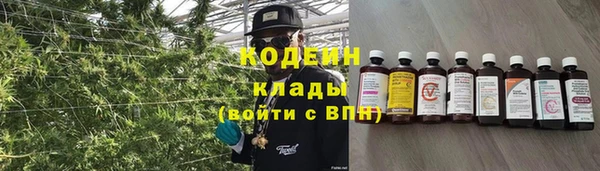 ПСИЛОЦИБИНОВЫЕ ГРИБЫ Няндома