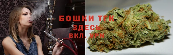 тгк Абаза