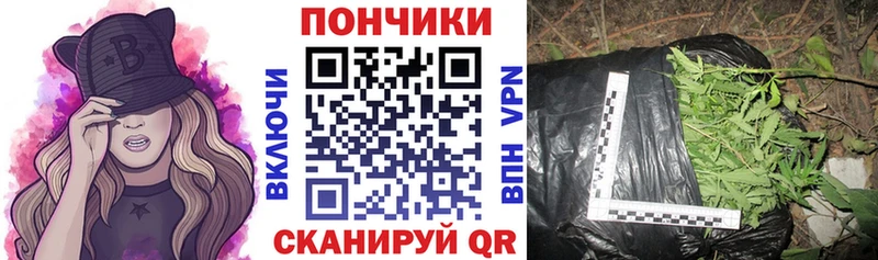 дарк нет как зайти  Пойковский  Бошки марихуана ГИДРОПОН 